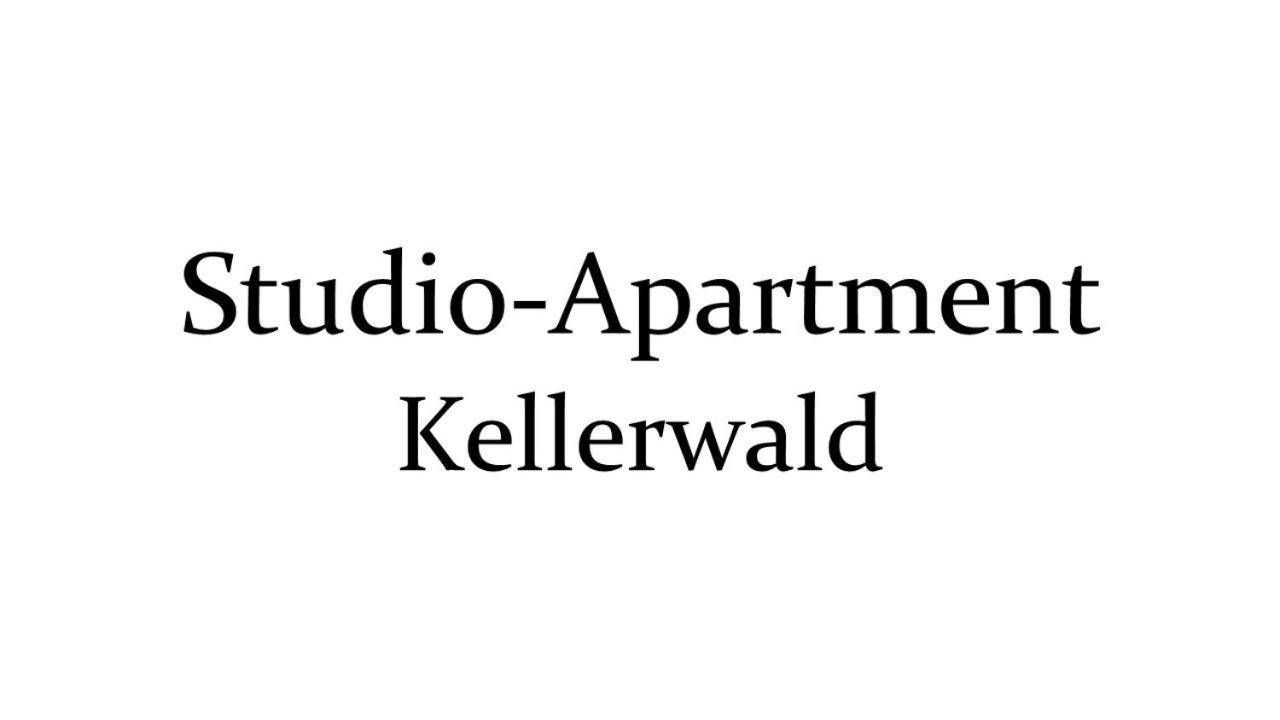 Apartment Auf Halbinsel Scheid In Direkter Ufernaehe Scheid (Waldeck-Frankenberg)
